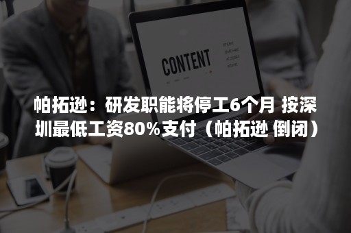 帕拓逊：研发职能将停工6个月 按深圳最低工资80%支付（帕拓逊 倒闭）