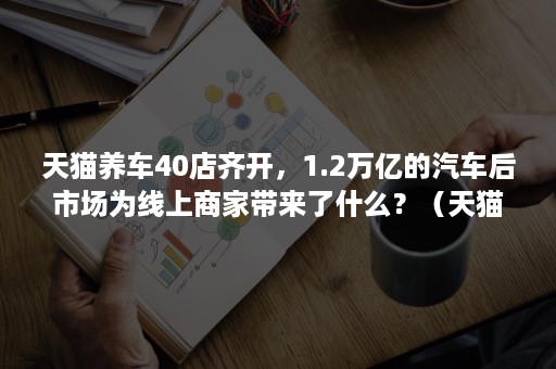 天猫养车40店齐开，1.2万亿的汽车后市场为线上商家带来了什么？（天猫养车开店的利润怎么来）