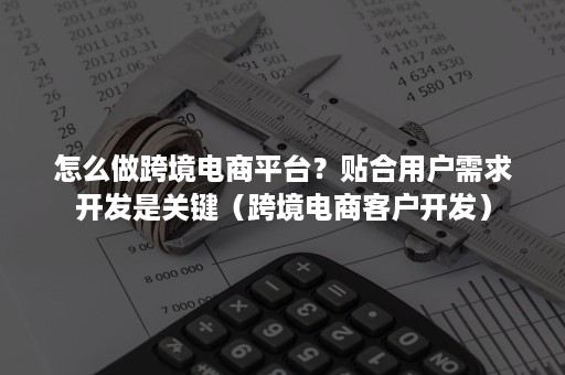 怎么做跨境电商平台？贴合用户需求开发是关键（跨境电商客户开发）