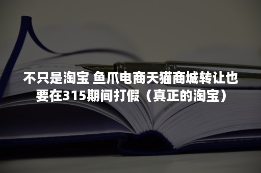 不只是淘宝 鱼爪电商天猫商城转让也要在315期间打假（真正的淘宝）