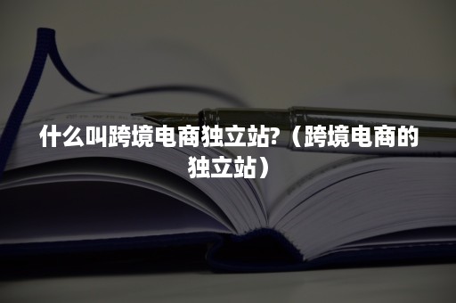 什么叫跨境电商独立站?（跨境电商的独立站）