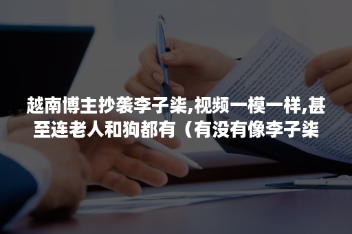 越南博主抄袭李子柒,视频一模一样,甚至连老人和狗都有（有没有像李子柒一样的视频博主）