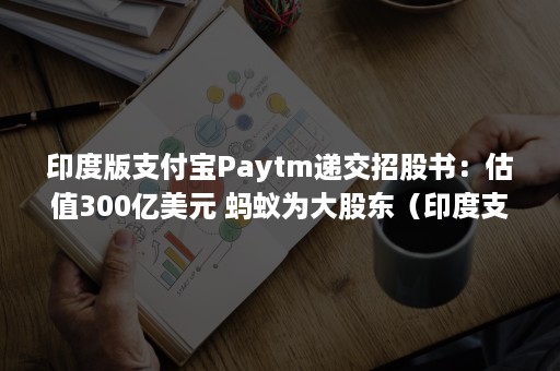 印度版支付宝Paytm递交招股书：估值300亿美元 蚂蚁为大股东（印度支付宝paytm上市）