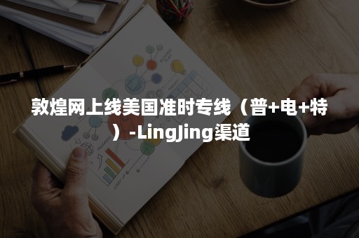 敦煌网上线美国准时专线（普+电+特）-LingJing渠道