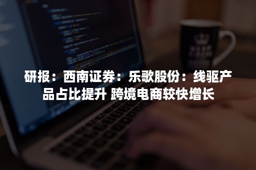 研报：西南证券：乐歌股份：线驱产品占比提升 跨境电商较快增长