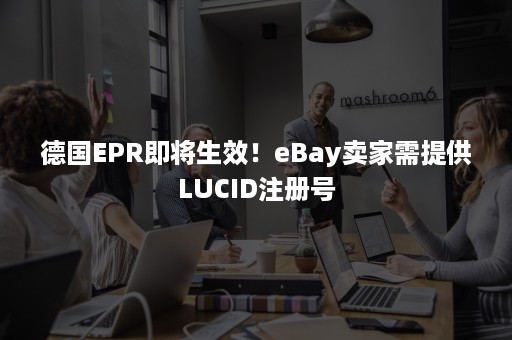 德国EPR即将生效！eBay卖家需提供LUCID注册号