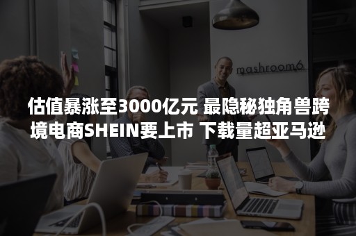 估值暴涨至3000亿元 最隐秘独角兽跨境电商SHEIN要上市 下载量超亚马逊（估值两万亿）