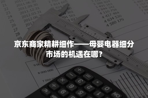 京东商家精耕细作——母婴电器细分市场的机遇在哪？