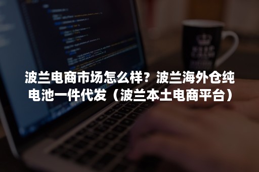 波兰电商市场怎么样?波兰海外仓纯电池一件代发(波兰本土电商平台) 波兰电商市场怎么样?波兰海外仓纯电池一件代发(波兰本土电商平台)