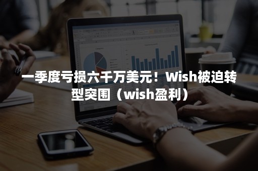 一季度亏损六千万美元！Wish被迫转型突围（wish盈利）