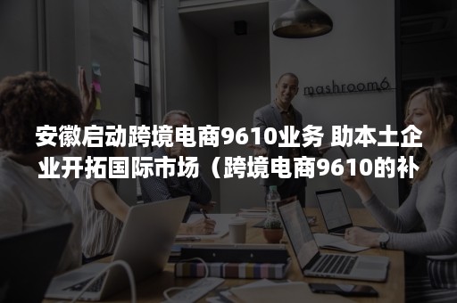 安徽启动跨境电商9610业务 助本土企业开拓国际市场（跨境电商9610的补贴政策）