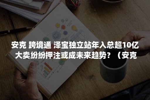 安克 跨境通 泽宝独立站年入总超10亿 大卖纷纷押注或成未来趋势？（安克充电器）