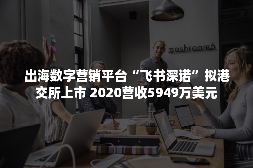 出海数字营销平台“飞书深诺”拟港交所上市 2020营收5949万美元