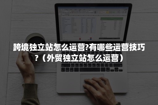跨境独立站怎么运营?有哪些运营技巧?（外贸独立站怎么运营）