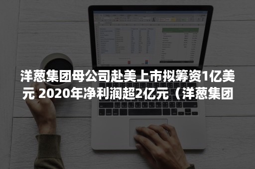 洋葱集团母公司赴美上市拟筹资1亿美元 2020年净利润超2亿元（洋葱集团 市值）