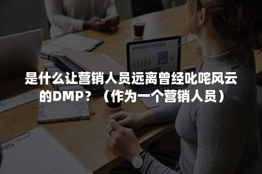 是什么让营销人员远离曾经叱咤风云的DMP？（作为一个营销人员）