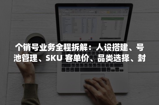 个销号业务全程拆解：人设搭建、号池管理、SKU 客单价、品类选择、封号 TIPS