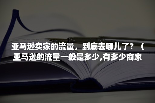 亚马逊卖家的流量，到底去哪儿了？（亚马逊的流量一般是多少,有多少商家）