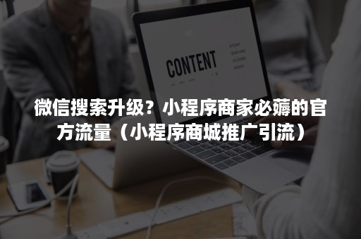 ***搜索升级？小程序商家必薅的官方流量（小程序商城推广引流）