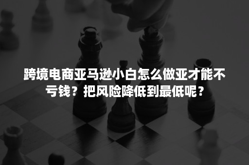 跨境电商亚马逊小白怎么做亚才能不亏钱？把风险降低到最低呢？