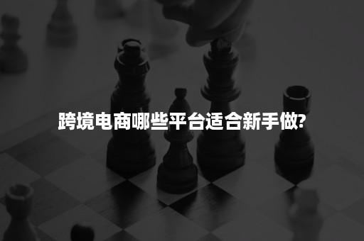 跨境电商哪些平台适合新手做?