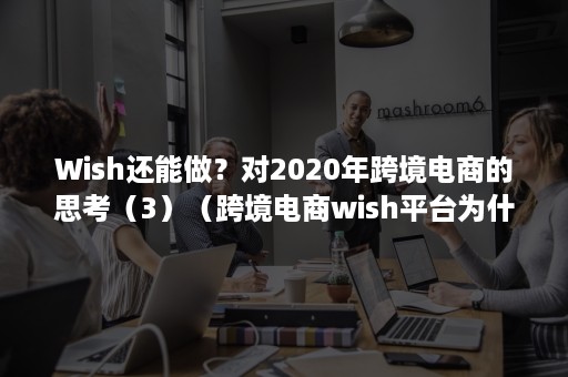 Wish还能做？对2020年跨境电商的思考（3）（跨境电商wish平台为什么我总是做不好）