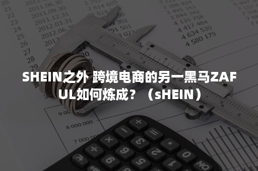 SHEIN之外 跨境电商的另一黑马ZAFUL如何炼成？（sHEIN）