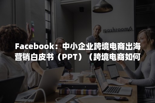 Facebook：中小企业跨境电商出海营销白皮书（PPT）（跨境电商如何做Facebook营销?）