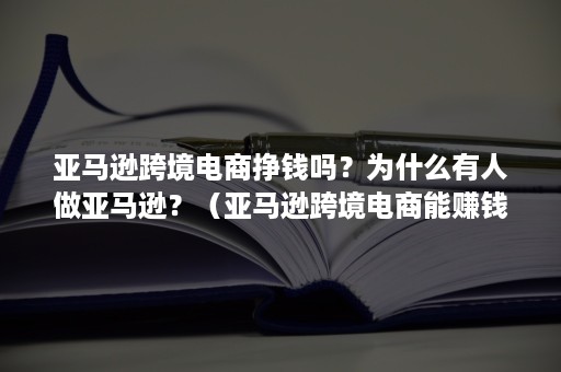 亚马逊跨境电商挣钱吗？为什么有人做亚马逊？（亚马逊跨境电商能赚钱吗）