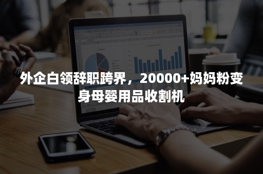 外企白领辞职跨界，20000+妈妈粉变身母婴用品收割机