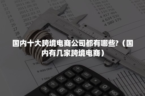 国内十大跨境电商公司都有哪些?（国内有几家跨境电商）