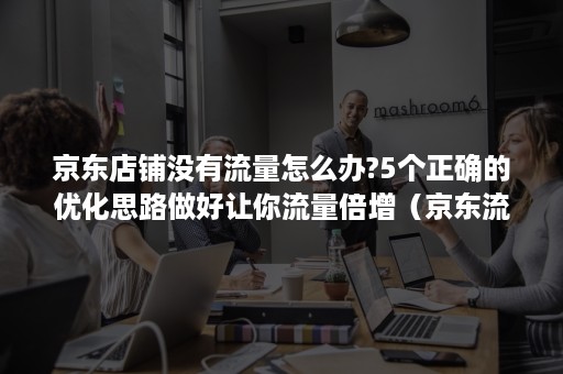 京东店铺没有流量怎么办?5个正确的优化思路做好让你流量倍增（京东流量越来越少）