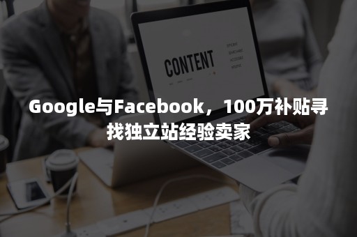 Google与Facebook，100万补贴寻找独立站经验卖家