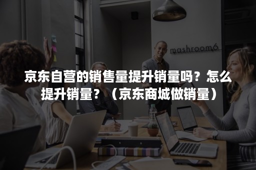 京东自营的销售量提升销量吗？怎么提升销量？（京东商城做销量）