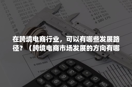 在跨境电商行业，可以有哪些发展路径？（跨境电商市场发展的方向有哪些）