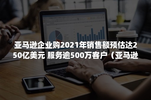 亚马逊企业购2021年销售额预估达250亿美元 服务逾500万客户（亚马逊2021年财报）