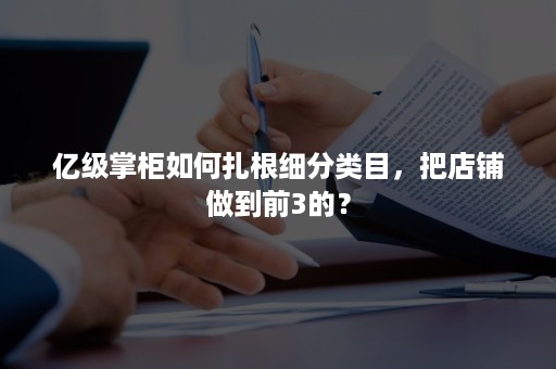 亿级掌柜如何扎根细分类目，把店铺做到前3的？