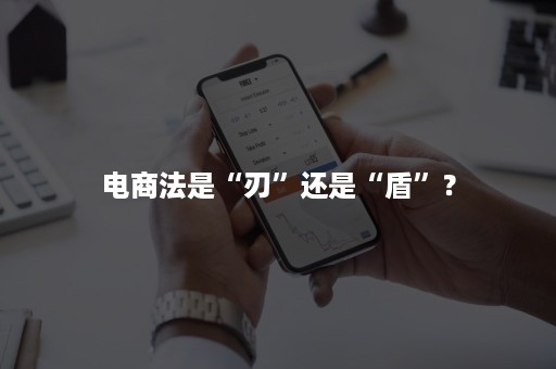 电商法是“刃”还是“盾”？