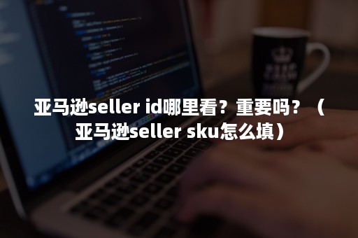 亚马逊seller id哪里看？重要吗？（亚马逊seller sku怎么填）