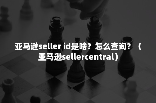 亚马逊seller id是啥？怎么查询？（亚马逊sellercentral）