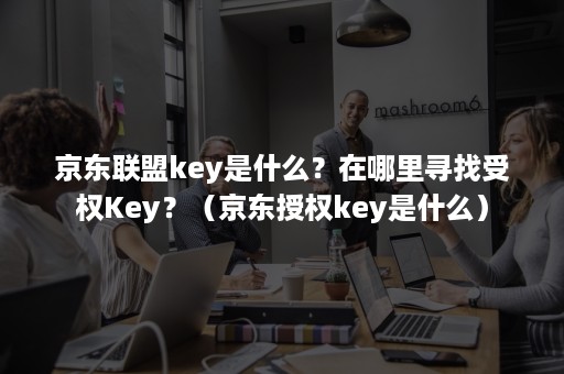 京东联盟key是什么？在哪里寻找受权Key？（京东授权key是什么）