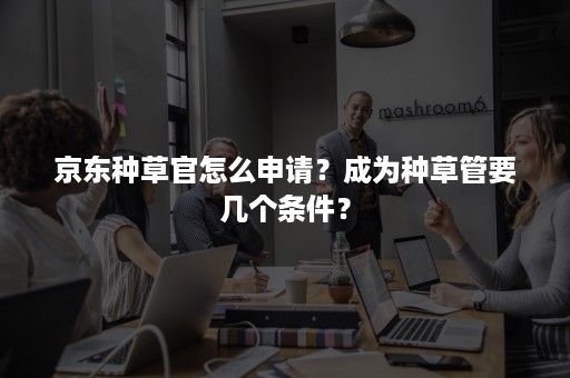 京东种草官怎么申请？成为种草管要几个条件？