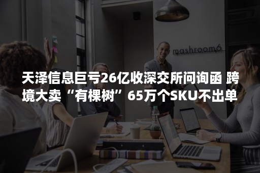 天泽信息巨亏26亿收深交所问询函 跨境大卖“有棵树”65万个SKU不出单（天风证券天泽3号）