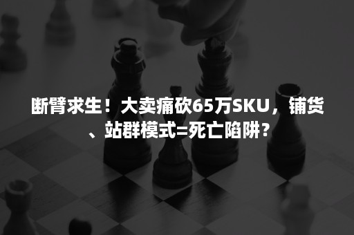 断臂求生！大卖痛砍65万SKU，铺货、站群模式=死亡陷阱？