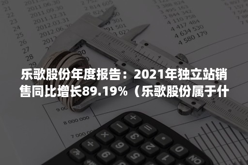 乐歌股份年度报告：2021年独立站销售同比增长89.19%（乐歌股份属于什么板块）