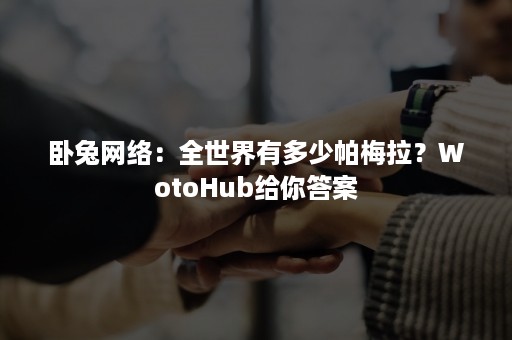 卧兔网络：全世界有多少帕梅拉？WotoHub给你答案