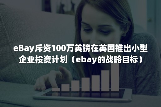 eBay斥资100万英镑在英国推出小型企业投资计划（ebay的战略目标）