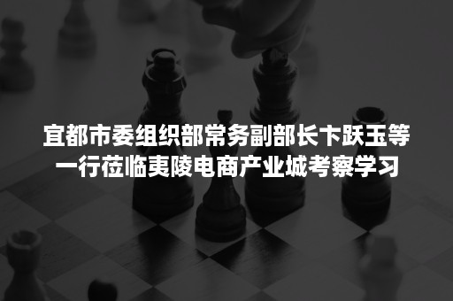 宜都市委组织部常务副部长卞跃玉等一行莅临夷陵电商产业城考察学习