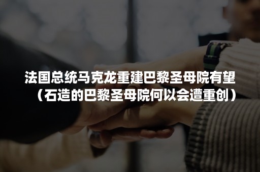 法国总统马克龙重建巴黎圣母院有望（石造的巴黎圣母院何以会遭重创）