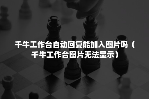 千牛工作台自动回复能加入图片吗（千牛工作台图片无法显示）